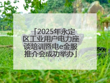2025年永定区工业用户电力座谈培训暨电e金服推介会成功举办