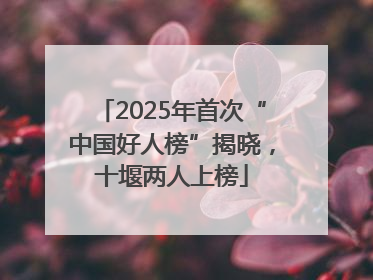 2025年首次“中国好人榜”揭晓，十堰两人上榜