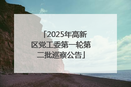 2025年高新区党工委第一轮第二批巡察公告