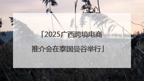 2025广西跨境电商推介会在泰国曼谷举行