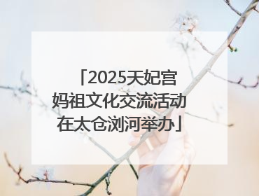2025天妃宫妈祖文化交流活动在太仓浏河举办