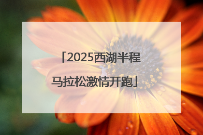 2025西湖半程马拉松激情开跑