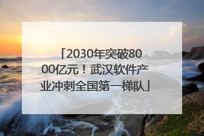 2030年突破8000亿元！武汉软件产业冲刺全国第一梯队