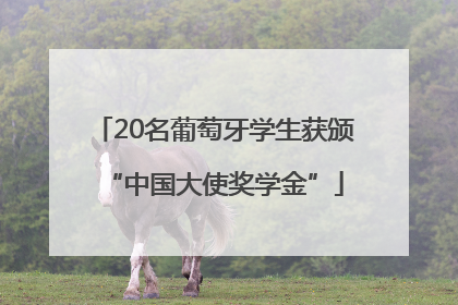 20名葡萄牙学生获颁“中国大使奖学金”