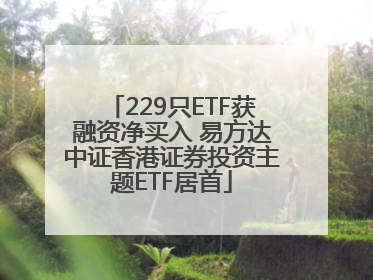 229只ETF获融资净买入 易方达中证香港证券投资主题ETF居首