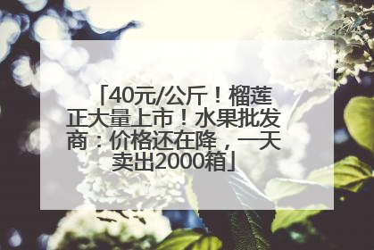 40元/公斤！榴莲正大量上市！水果批发商：价格还在降，一天卖出2000箱