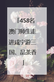 458名澳门师生走进咸宁游三国、品茶香