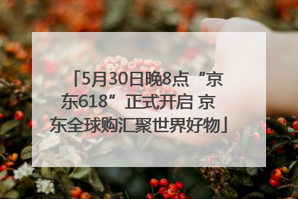 5月30日晚8点“京东618”正式开启 京东全球购汇聚世界好物