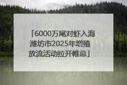 6000万尾对虾入海 潍坊市2025年增殖放流活动拉开帷幕