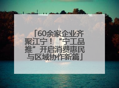 60余家企业齐聚江宁！“宁工品推”开启消费惠民与区域协作新篇