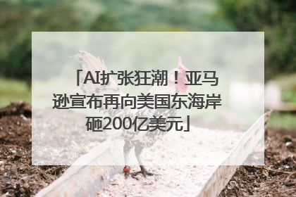 AI扩张狂潮！亚马逊宣布再向美国东海岸砸200亿美元