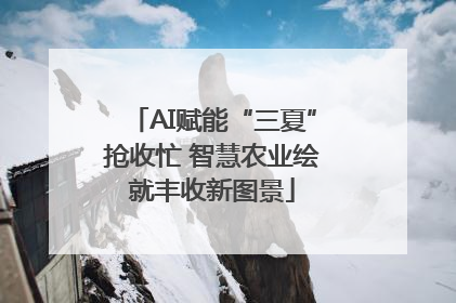 AI赋能“三夏”抢收忙 智慧农业绘就丰收新图景