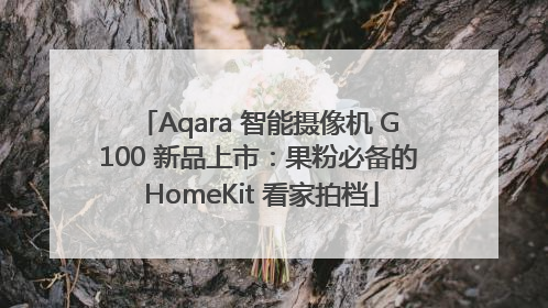 Aqara 智能摄像机 G100 新品上市：果粉必备的 HomeKit 看家拍档