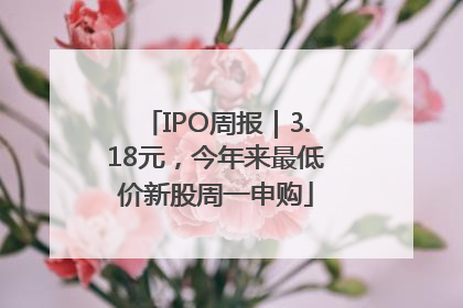 IPO周报｜3.18元，今年来最低价新股周一申购