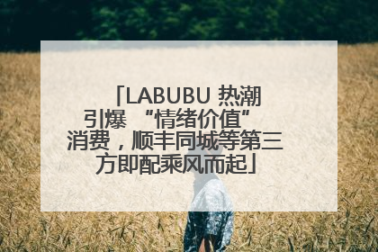 LABUBU 热潮引爆 “情绪价值” 消费，顺丰同城等第三方即配乘风而起