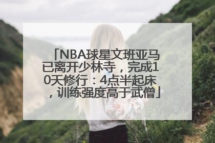 NBA球星文班亚马已离开少林寺，完成10天修行：4点半起床，训练强度高于武僧